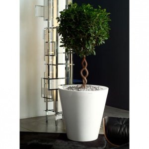 FOC Cono Pflanzentrog