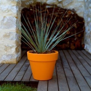 FOC Maceta Pflanzentrog