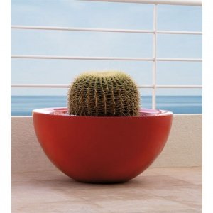 FOC Sfera Pflanzentrog