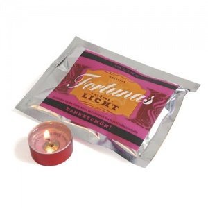 FORTUNAS GLÜCKSLICHT Glücksbotschaft DAN