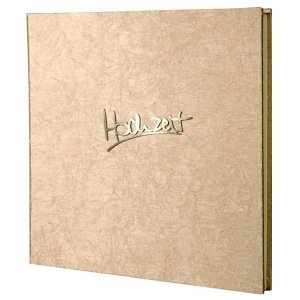 Fotoalbum Venedig, champagner, groß