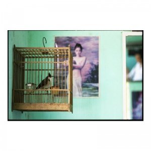 Fotodruck The Barber-s Bird von MARA FAD