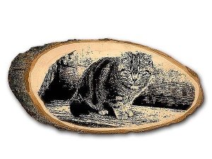 Fotogeschenk ovales Holzschild mit Foto