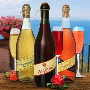 Fragolino Probierpaket Fragolino rot wei