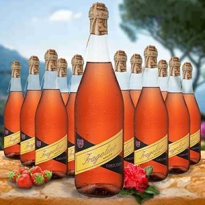 Fragolino Rose 12er Vorteilspaket Terra 