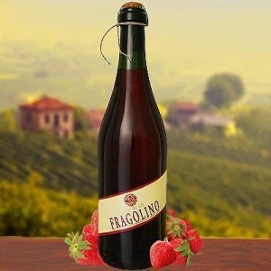 Fragolino Rosso 12er Vorteilspaket Terra