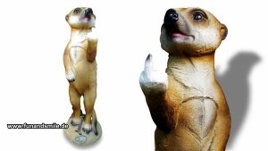 Freches Erdmännchen mit Stinkefinger