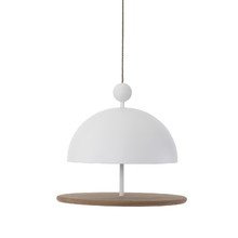 Frederik Roijé - Dish of Desire Futterst