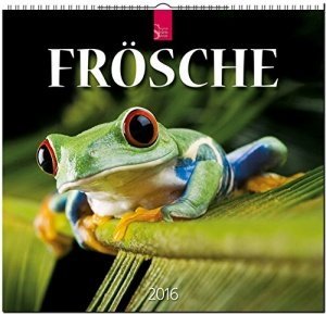 Frösche Kalender
