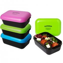 Frozzypack kühlende Lunchbox