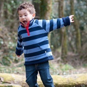 Frugi Jungen Wendepullover blau Bio Baum