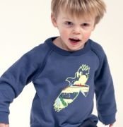 Frugi - Pullover mit Falkenmotiv blau, k