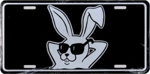 Funschild Hase