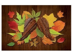 Fußmatte Holzflügel