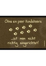Fussmatte Hundehaare