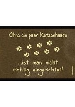 Fussmatte Katzenhaare