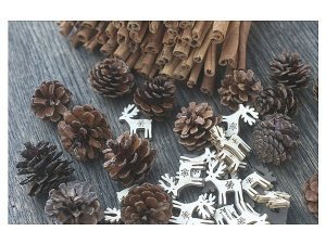 Fußmatte Tannenzapfen und Elche