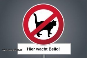 Fußmatte mit Katzen Verbotsschild und Ih