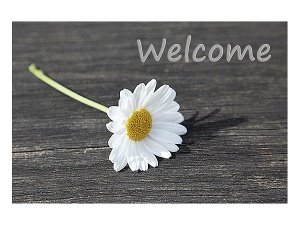 Fußmatte weiße Margerite