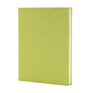 Gästebuch Delhi, lindgrün