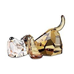 Gang of Dogs - Peppino