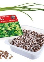 Gartenkräuter - Küchenkräuter Garten Sch