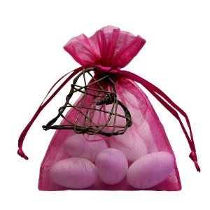 Gastgeschenk Nemesis, himbeer