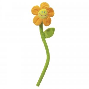 Geburtstagsblume mit Musik