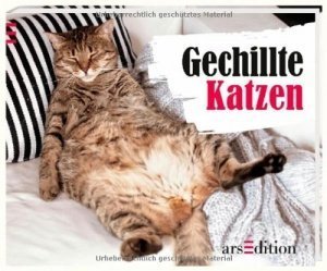 Gechillte Katzen