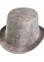 Geister-Bräutigam Zylinder grau