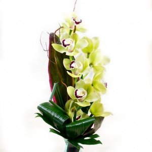 Gelbe Orchidee