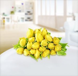 Gelbe Tulpen