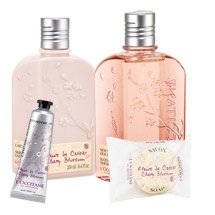 Geschenk-Box Kirschblute