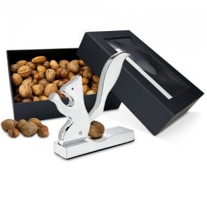 Set Eichhörnchen-Nüsse