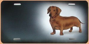 Geschenk für Jäger: Schild mit Airbrushm