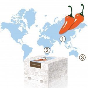 Geschenkabo Spice Up Your Life 3 Monate