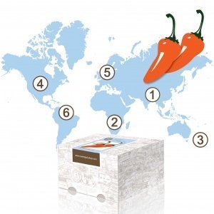 Geschenkabo Spice Up Your Life 6 Monate