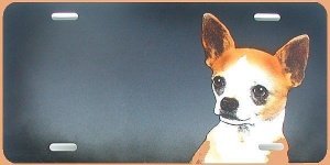 Geschenke: Schild im Airbrush Design Hun