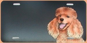 Geschenke: Schild im Airbrush Design Hun