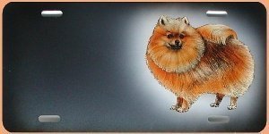 Geschenke für Hundeliebhaber: Airbrushsc