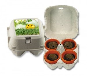 Geschenkset -Eierbox-