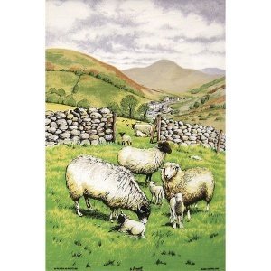 Geschirrtuch "Sheep"