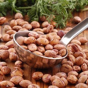 Getrocknete Borlottibohnen Fagioli Borlo