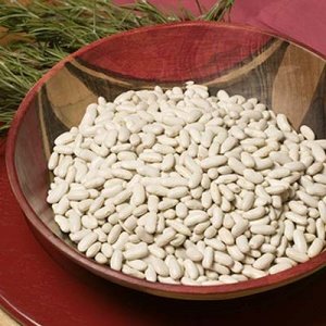 Getrocknete Cannellinibohnen Fagioli Can