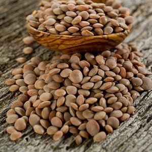 Getrocknete Riesen-Linsen Lenticchie Sec