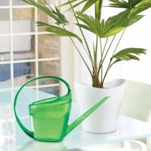 Gießkanne Loop grün