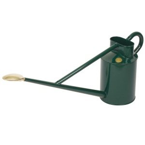 Gießkanne "Professional Long Reach Can X