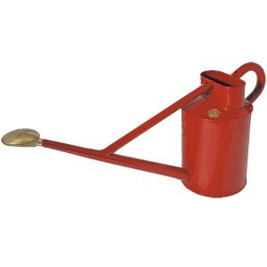 Gießkanne "Professional Long Reach Can X