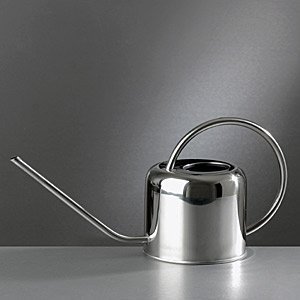 Gießkanne aus Edelstahl 1,0 Liter