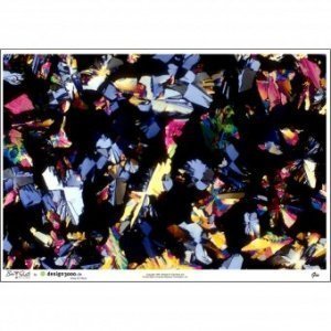 Gin unter dem Mikroskop Metallic Print